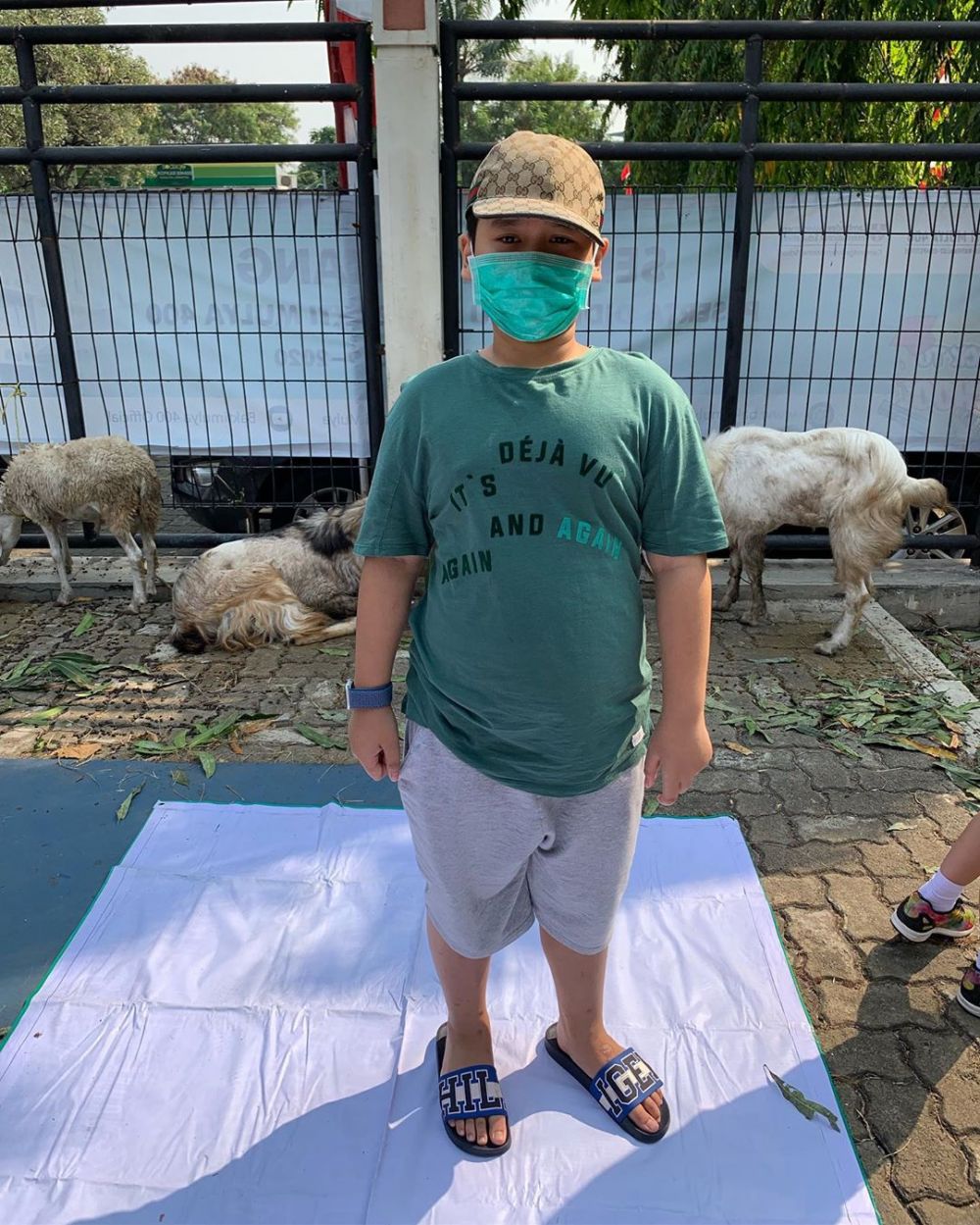 Inul 'Dikerjai' anak lihat kurban disembelih, sampai meriang