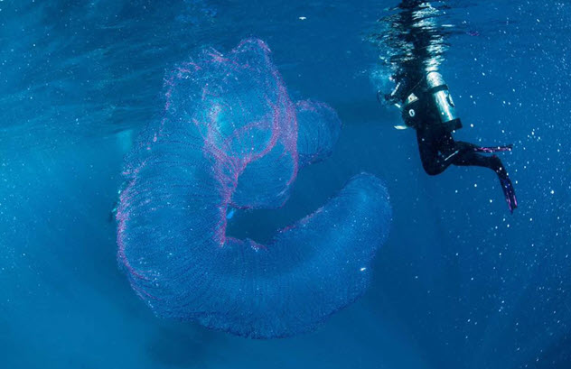 10 Cerita penemuan seram penyelam bawah laut yang bikin bergidik