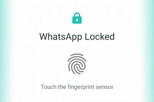 Fitur baru untuk Android, WhatsApp bisa dibuka dengan sidik jari