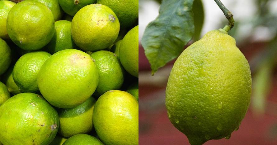 5 Manfaat jeruk limau untuk kesehatan, bisa cegah kanker