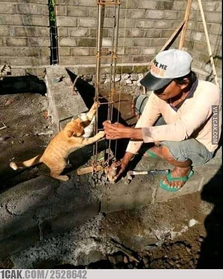 10 Tingkah lucu saat kerja sama ini kocaknya bikin cengar-cengir