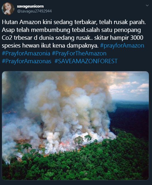 Pray For Amazon, doa warganet untuk kebakaran hebat hutan Amazon