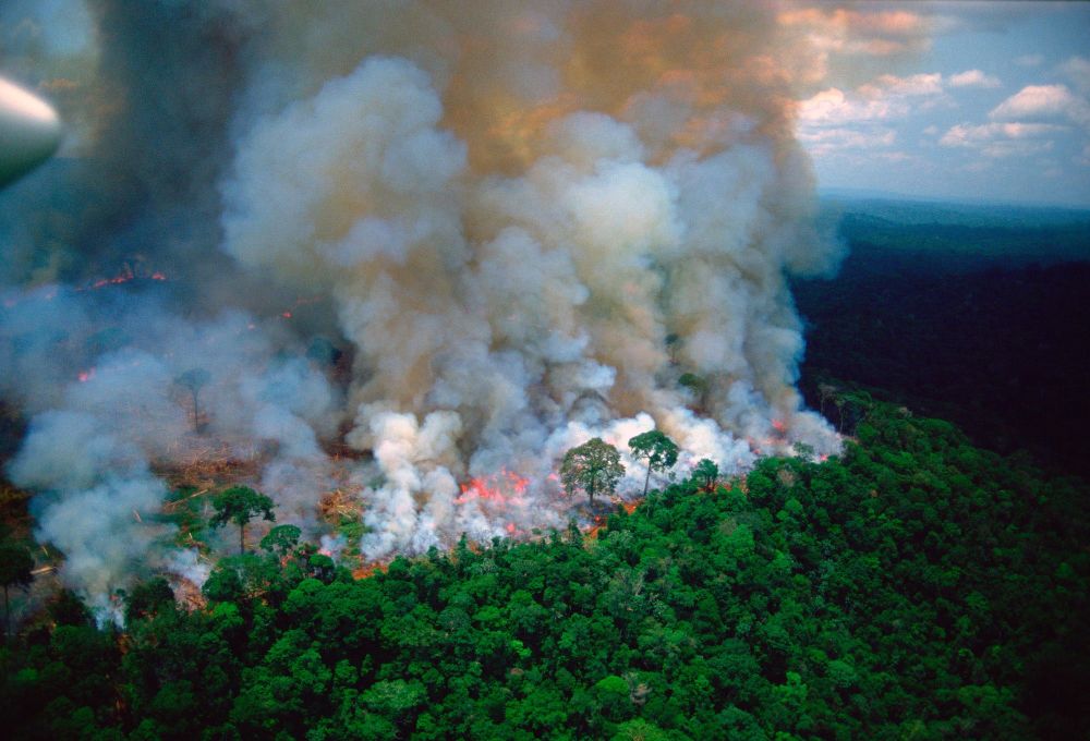 4 Dampak kebakaran Hutan Amazon, polusi udara mengganggu kesehatan