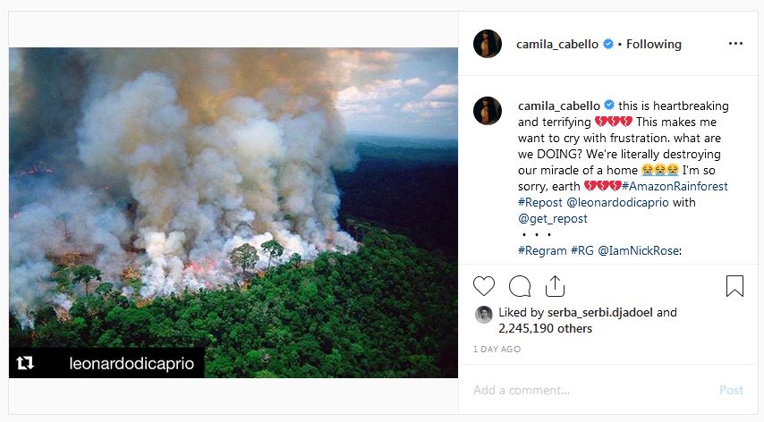 Ungkapan keprihatinan 8 seleb dunia kebakaran hutan Amazon