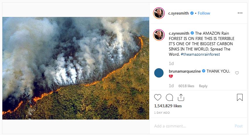 Ungkapan keprihatinan 8 seleb dunia kebakaran hutan Amazon