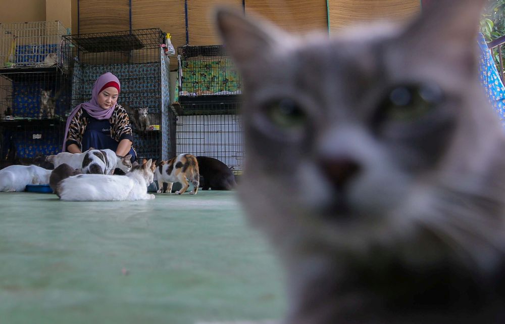 Perempuan ini kerja part time jadi badut, alasannya bikin salut