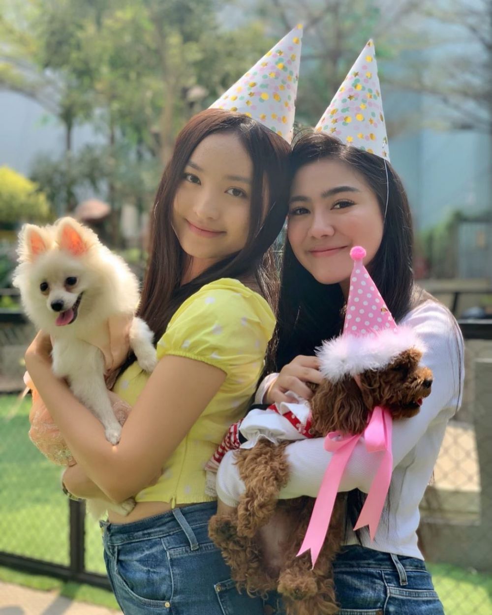 8 Momen perayaan ulang tahun anjing Caesar Hito & Felicya, meriah