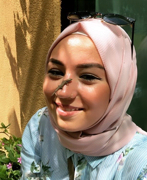 12 Kelakuan cicak ini absurdnya bikin geleng kepala