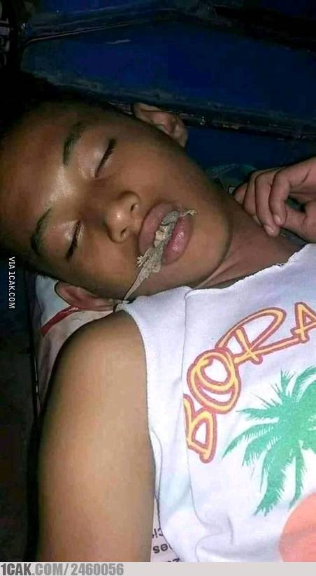 12 Kelakuan cicak ini absurdnya bikin geleng kepala