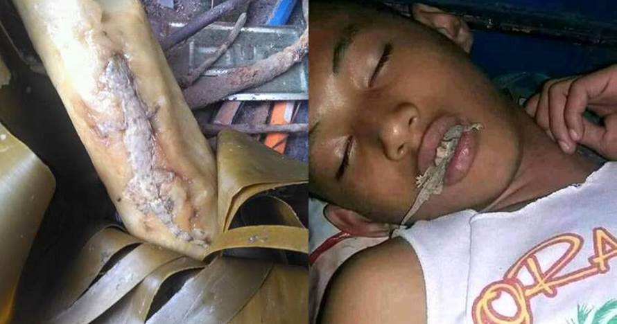 12 Kelakuan cicak ini absurdnya bikin geleng kepala