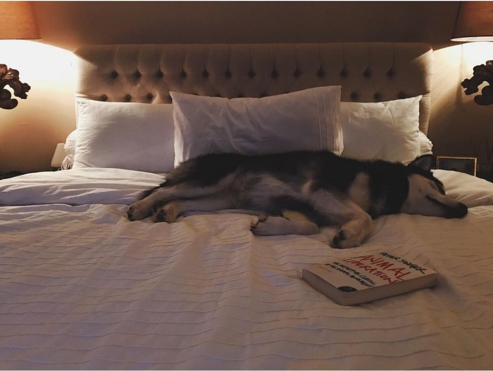 10 Penampakan rumah Sophia Latjuba, ada ruangan khusus biliar