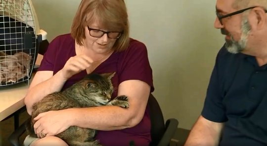 Kisah wanita temukan kucing peliharaan usai 11 tahun hilang bikin haru