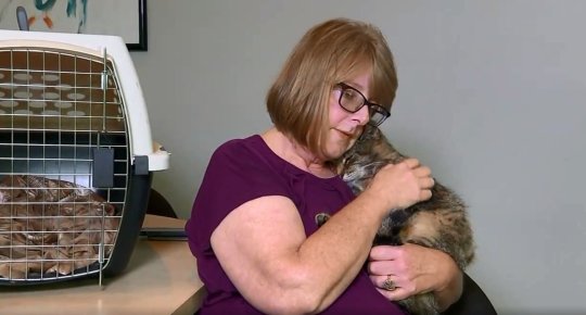 Kisah wanita temukan kucing peliharaan usai 11 tahun hilang bikin