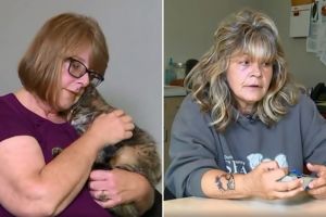 Kisah wanita temukan kucing peliharaan usai 11 tahun hilang bikin haru