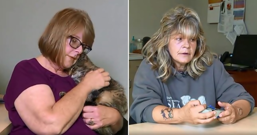 Kisah wanita temukan kucing peliharaan usai 11 tahun hilang bikin haru