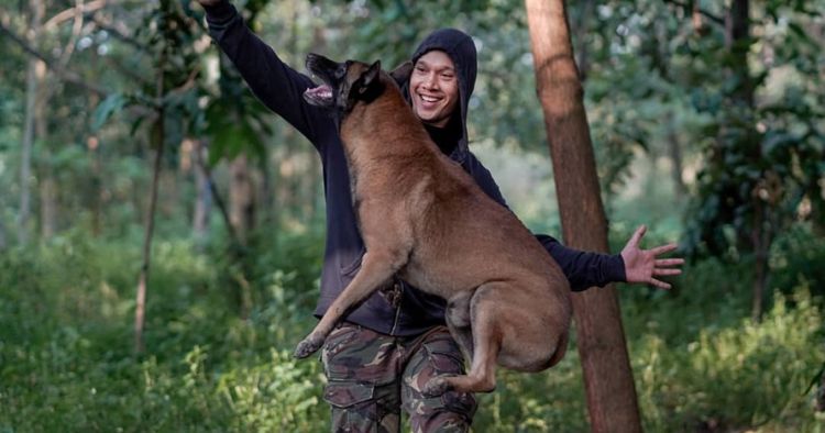 4 Fakta Kebrutalan Anjing Milik Bima Aryo Serang Sales Hingga Ar