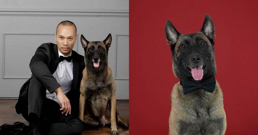 10 Momen gemas anjing 'pembunuh' milik Bima Aryo ikut pemotretan