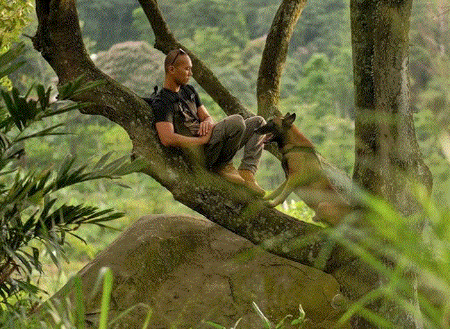 10 Momen gemas anjing 'pembunuh' milik Bima Aryo ikut pemotretan