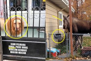 10 Peringatan di rumah ini kenyataannya bikin tepuk jidat