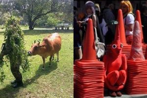 10 Potret lucu kamuflase ini endingnya bikin gagal paham