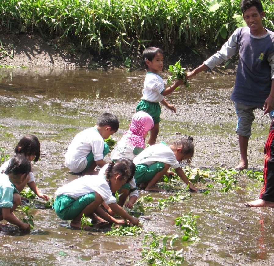 Dewa Emas menyulap sawah dan sungai kotor jadi wisata edukatif
