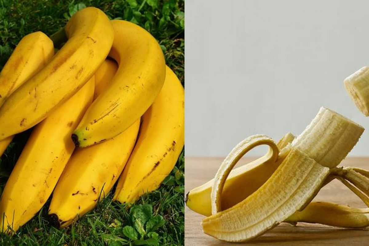 Jangan Dibuang Ini 7 Manfaat Kulit Pisang Untuk Kesehatan