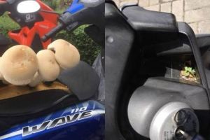 10 Kondisi kendaraan bermotor tak biasa ini bikin geleng kepala