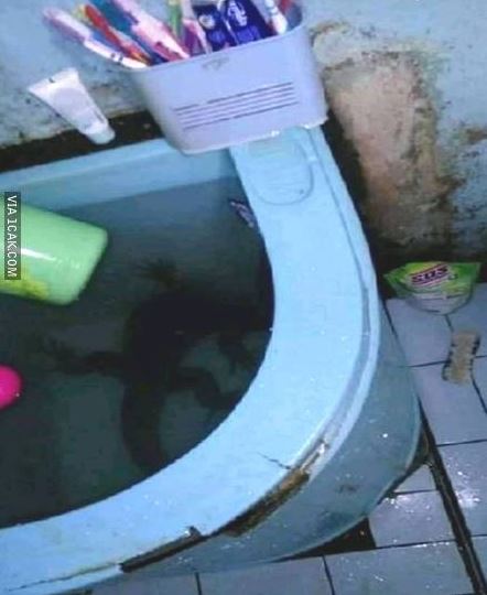 10 Potret kamar mandi tak terawat ini bikin ngelus dada