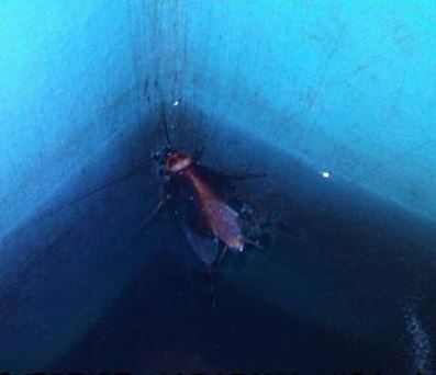 10 Potret kamar mandi tak terawat ini bikin ngelus dada