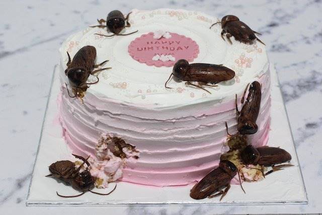 Di luar dugaan, 10 benda tampak nyata ini cuma prank