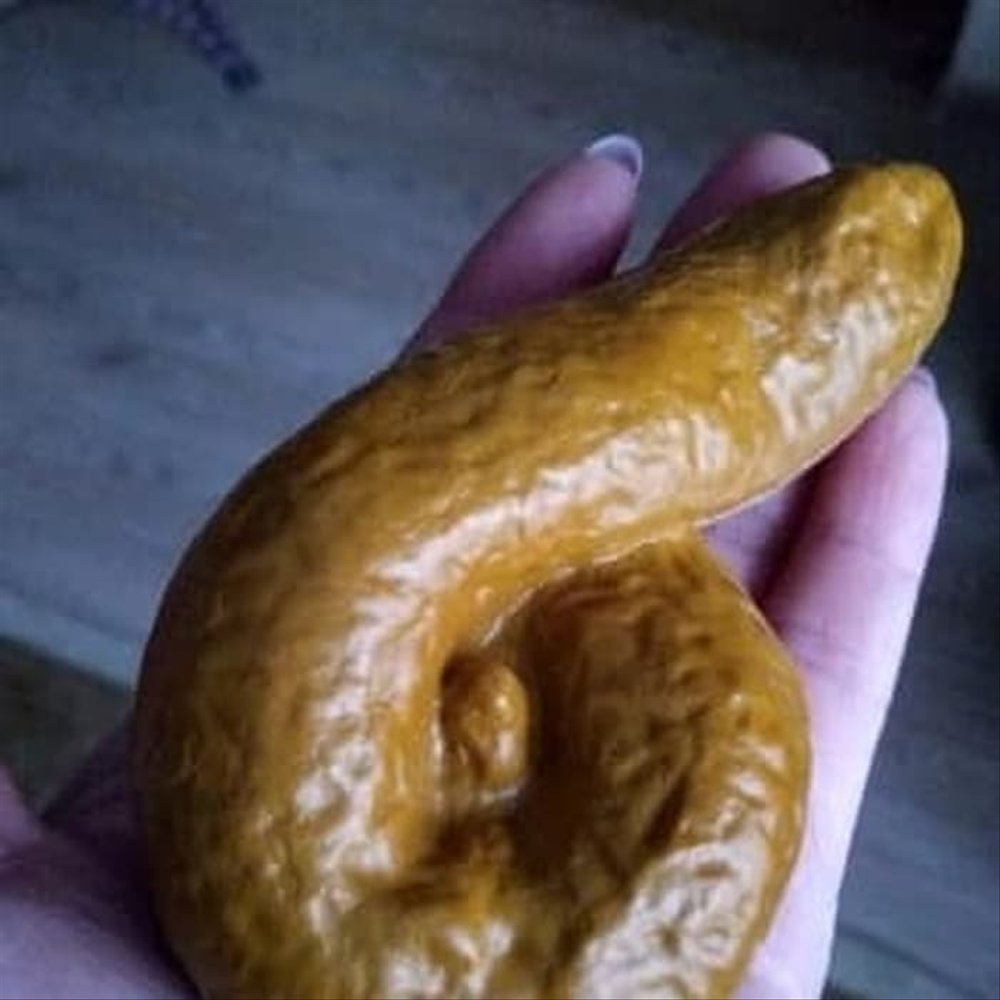 Di luar dugaan, 10 benda tampak nyata ini cuma prank