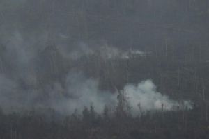 Ada kejanggalan kebakaran hutan, TNI pantau dengan drone 24 jam