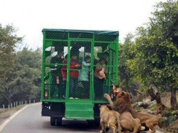 9 Momen kocak di kandang hewan ini bikin nyengir