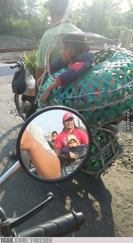 9 Momen kocak di kandang hewan ini bikin nyengir