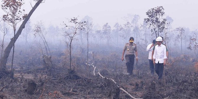 Kebakaran hutan kembali terjadi, Jokowi tegur Pemda Riau