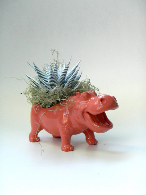 17 Pot bunga mungil berbentuk hewan, percantik sudut rumah