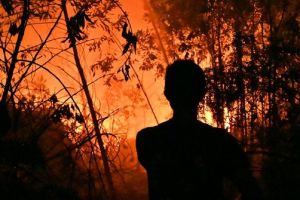 Kebakaran hutan, penyebaran kabut asap hingga Singapura & Malaysia