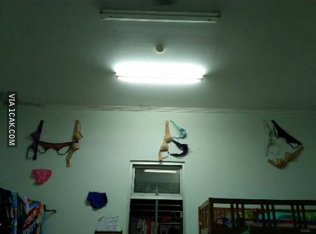 10 Momen absurd di perayaan ulang tahun ini bikin geleng kepala