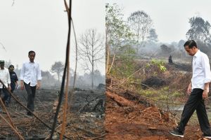 Jokowi tinjau kebakaran hutan, perubahan sepatunya jadi sorotan
