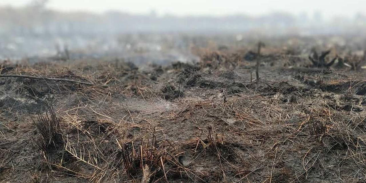 Penanganan Karhutla, Polda Riau tetapkan 53 tersangka pembakar lahan
