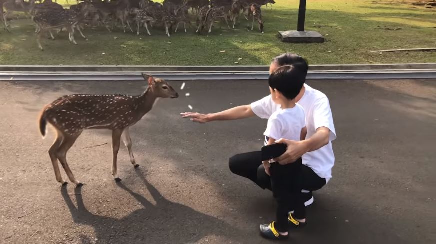 Jawaban lucu Jan Ethes saat ditanya hewan kesukaan oleh Jokowi