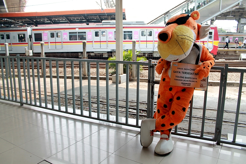 Hebohkan Stasiun Tanah Abang, seekor cheetah ditemukan berkeliaran