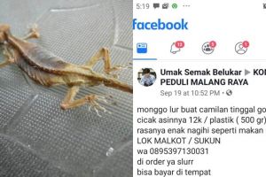 Viral kuliner ekstrem, camilan cicak asin goreng