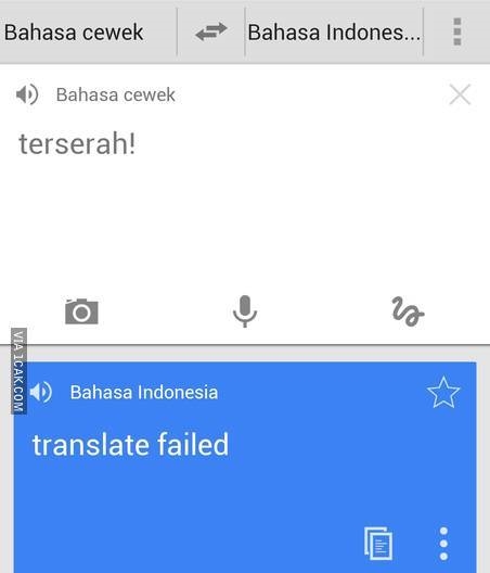 google translate indonesia english terjemahan