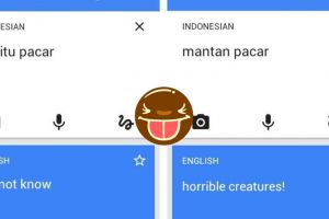 13 Terjemahan lucu Google Translate Indonesia-Inggris ini nyeleneh