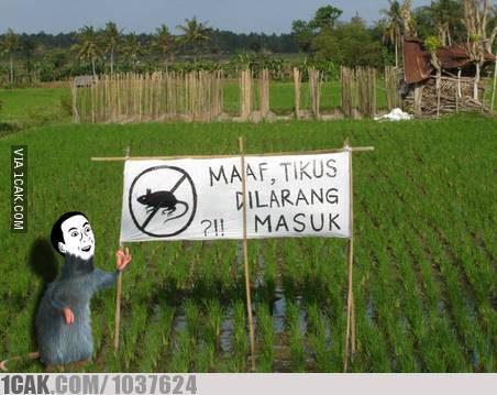 10 Cara kocak orang Indonesia bercocok tanam, absurd pol