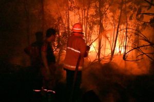 Bareskrim tetapkan 325 orang & 95 korporasi tersangka kebakaran hutan