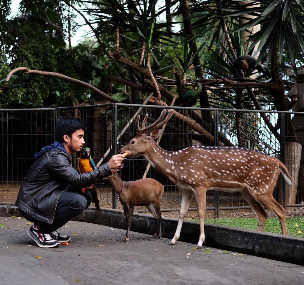 8 Potret rumah mewah sepupu Raffi Ahmad, ada kebun binatang