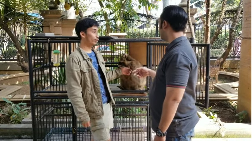 8 Potret rumah mewah sepupu Raffi Ahmad, ada kebun binatang