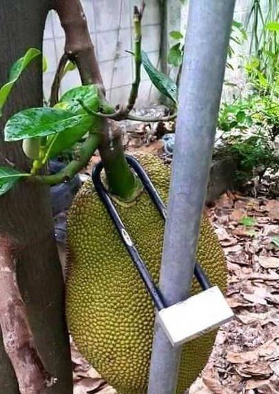 10 Cara antimainstream biar barang nggak dicuri ini bikin melongo